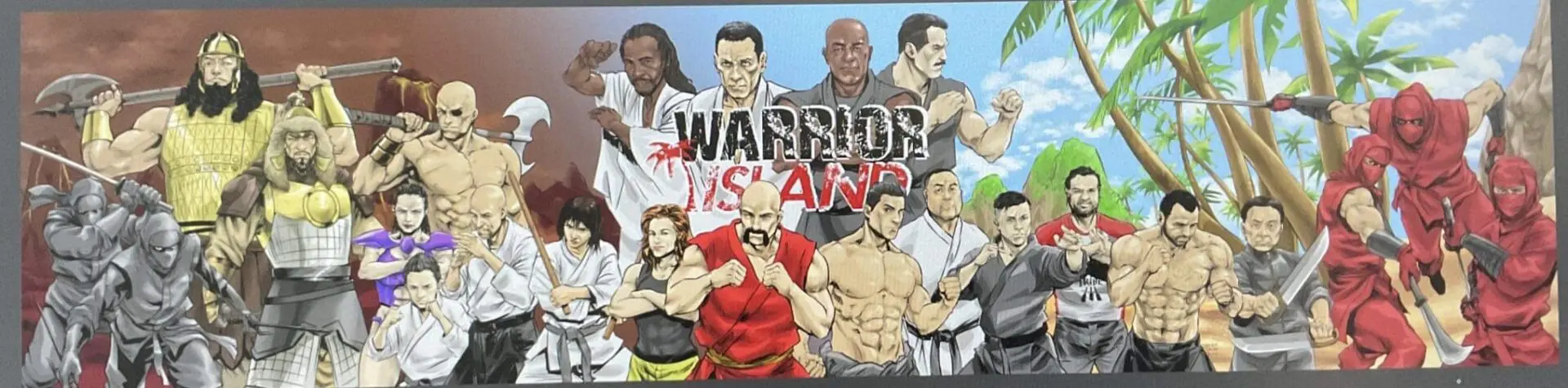 Cover poster of warrior island